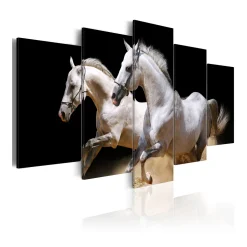 Tavla Arkiio Gallop Freedom And Power
