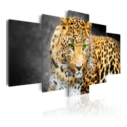 Tavla Arkiio Green Eyed Leopard