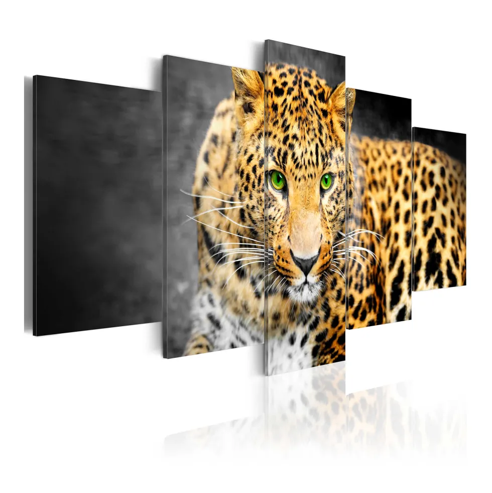 Tavla Arkiio Green Eyed Leopard