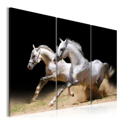 Tavla Arkiio Horses Power And Velocity