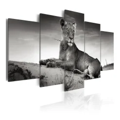 Tavla Arkiio Lioness In A Desert