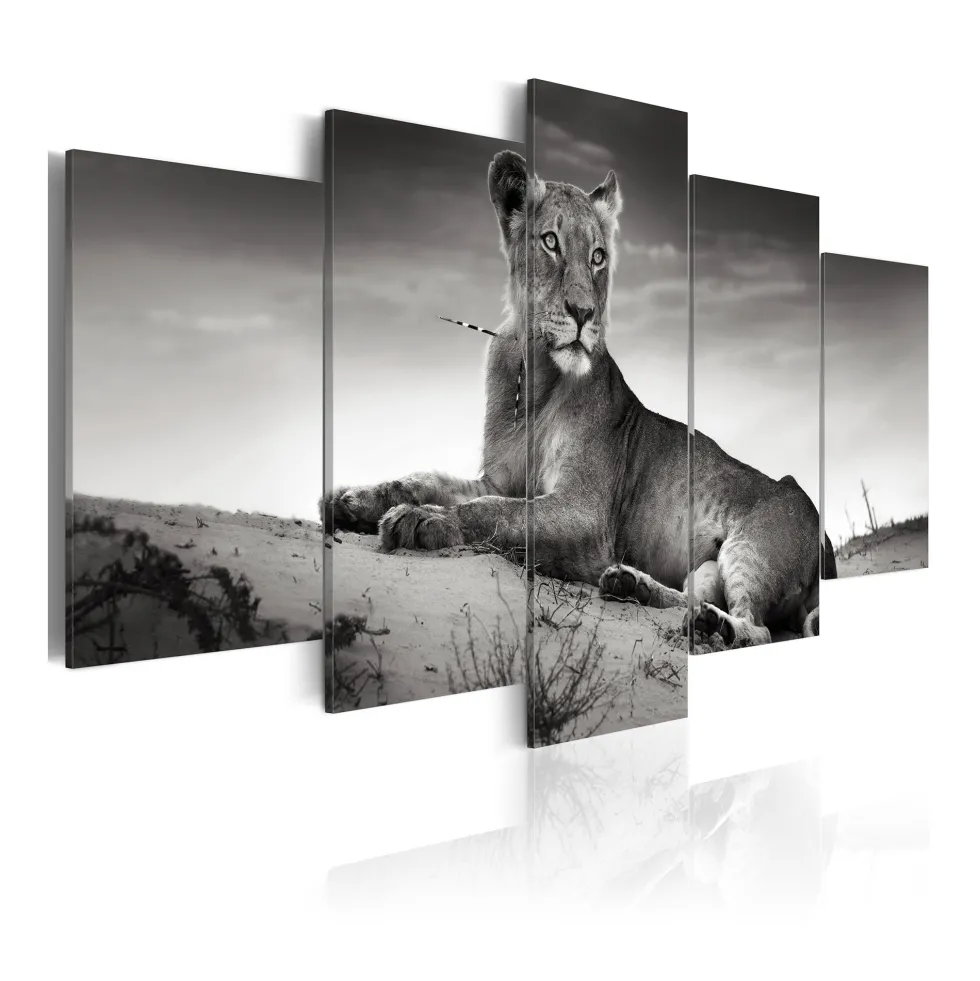 Tavla Arkiio Lioness In A Desert