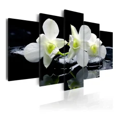 Tavla Arkiio Melancholic Orchids