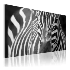 Tavla Arkiio Mrs Zebra