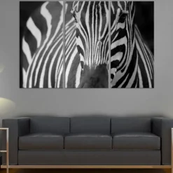 Tavla Arkiio Mrs Zebra