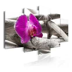 Tavla Arkiio Orchid On Beach
