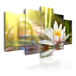Tavla Arkiio Sunny Lotus