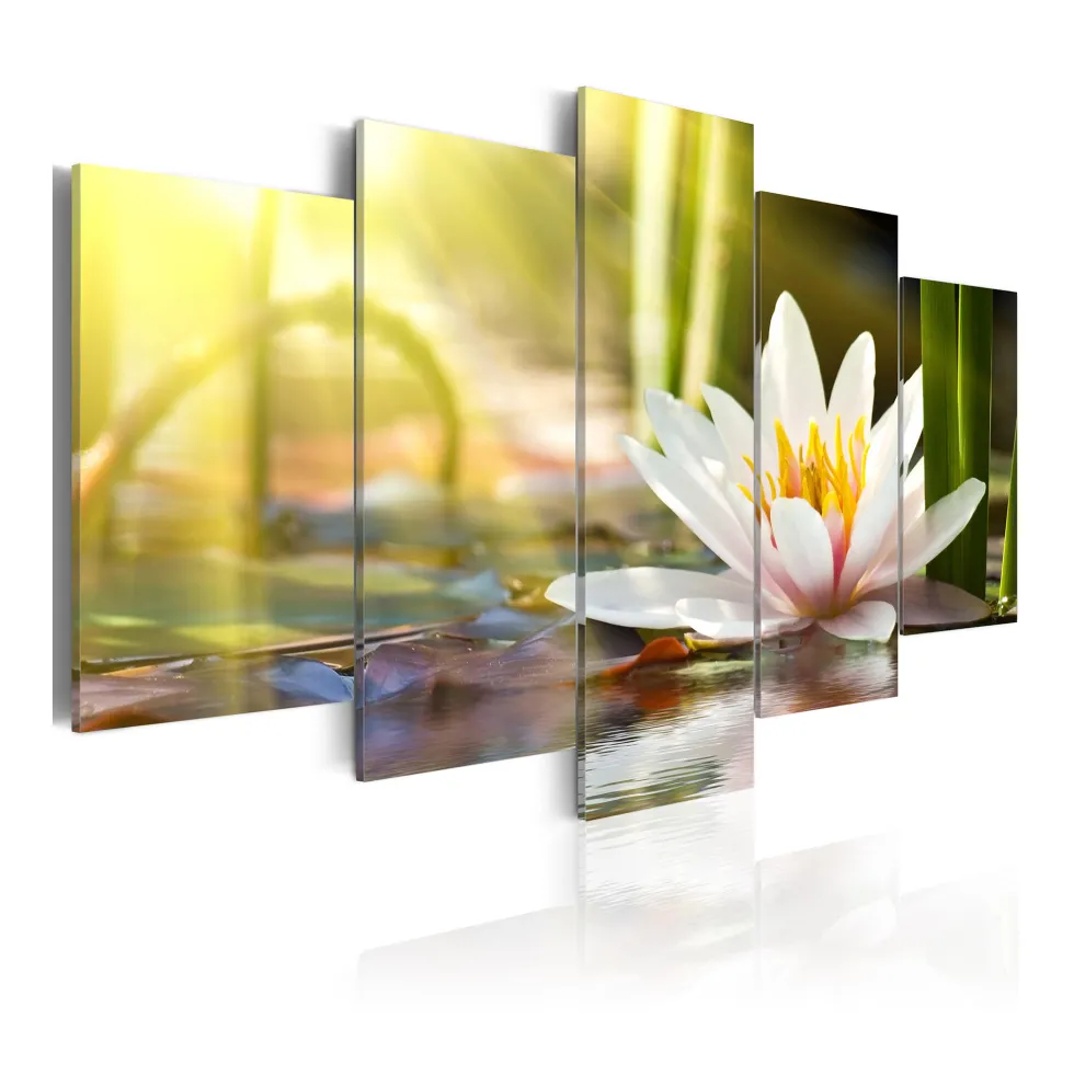 Tavla Arkiio Sunny Lotus