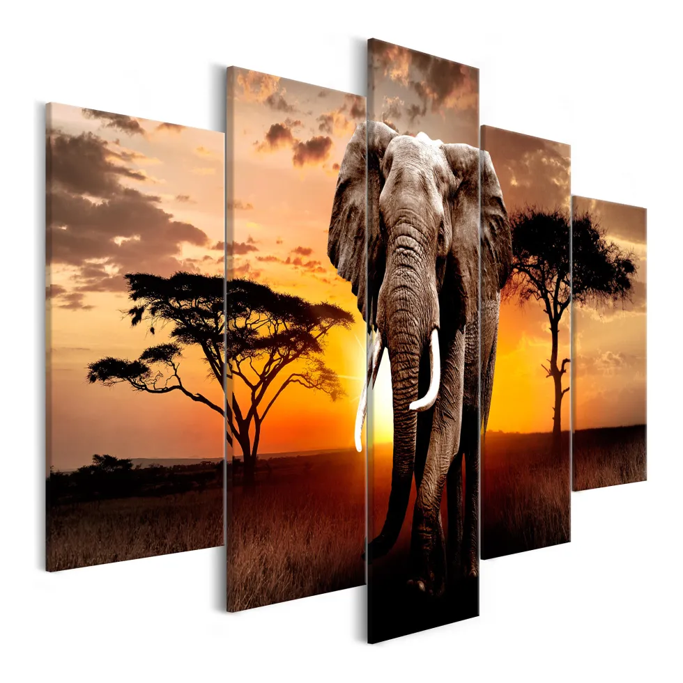 Tavla Arkiio WanderIng Elephant Wide 5 delar 225x100