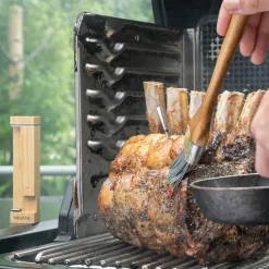 Termometer MEATER Pro