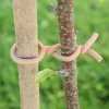 Uppbindning Omnia Garden Original Soft Tie Woody 5m