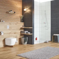 Vägghängd Toalettstol Grohe Euro Ceramic 39328