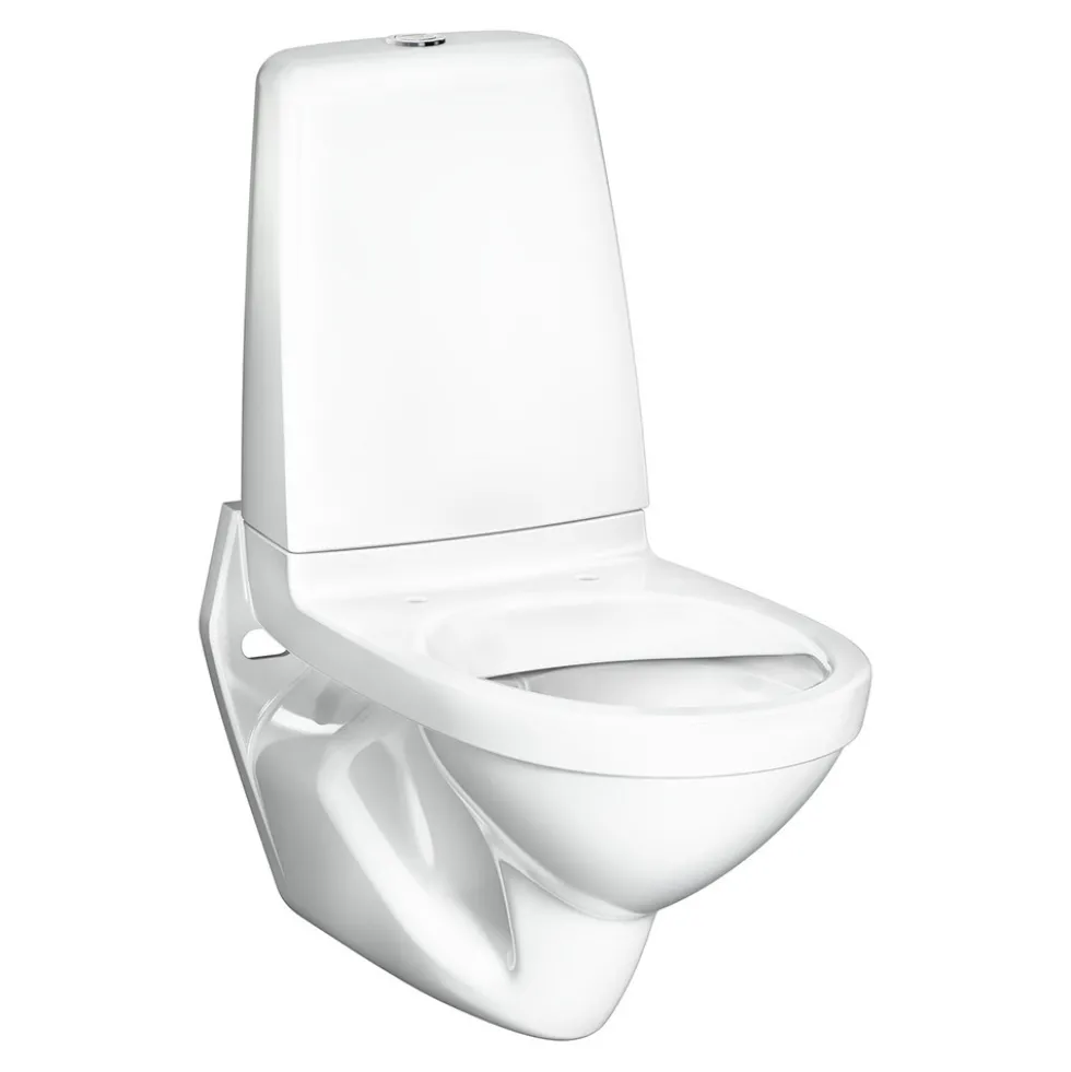 Vägghängd Toalettstol Gustavsberg Public 6600 C+ Hygienic Flush