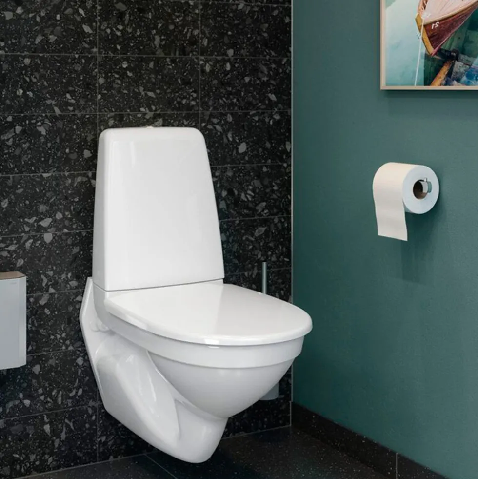 Vägghängd Toalettstol Gustavsberg Public 6600 C+ Hygienic Flush