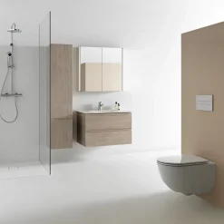 Vägghängd Toalettstol Laufen Pro Kompakt 820965 Rimless