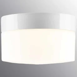Vägg-/Taklampa Ifö Electric Opus 200 IP44 Rak E27